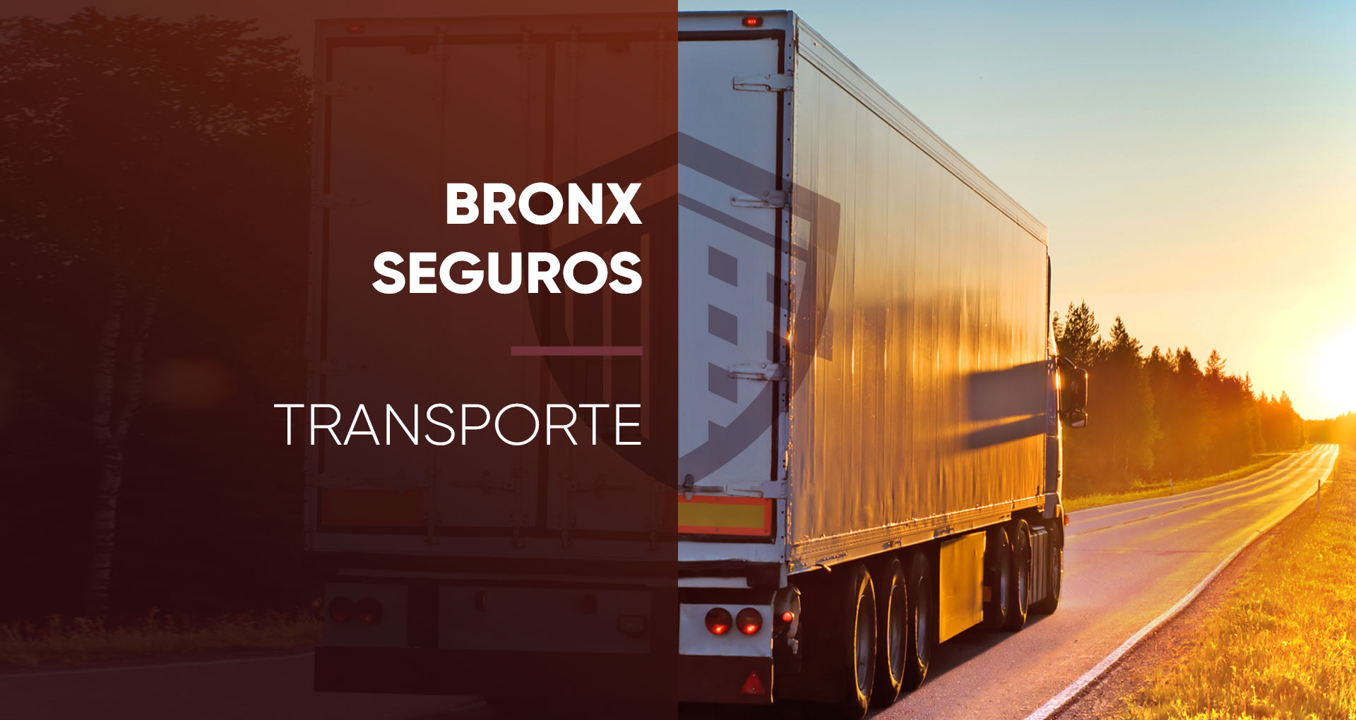 Bronx Seguros de Vida